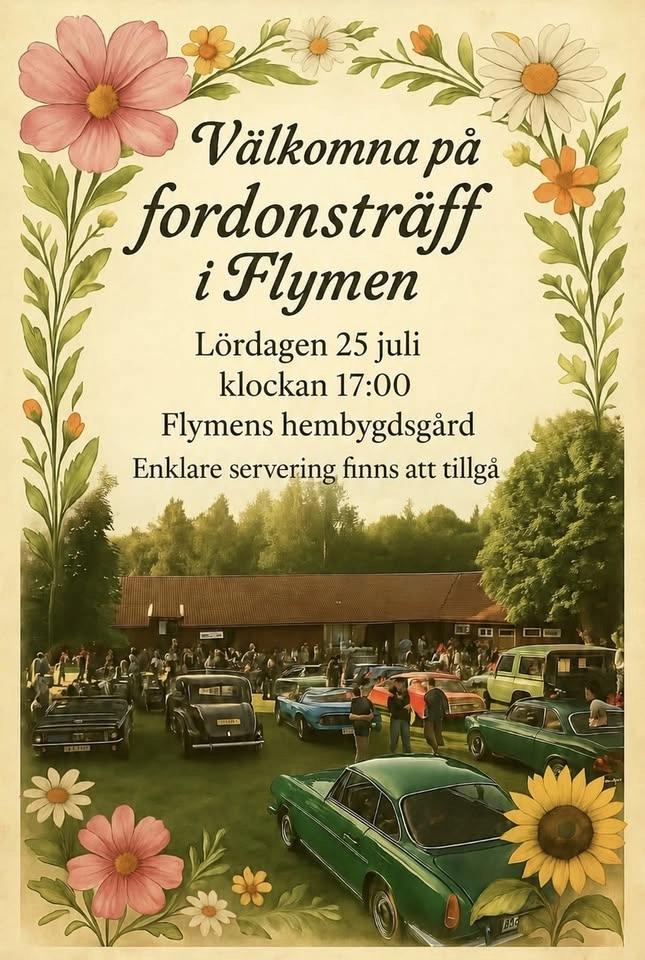 Fordonsträff