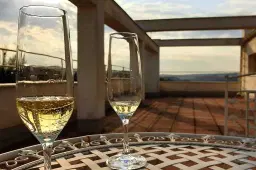 Večerní komentovaná prohlídka Winternitzovy vily