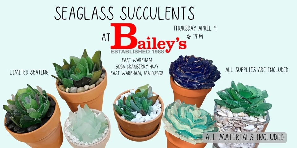 Seaglass Succulents at Bailey's Surf N Turf
