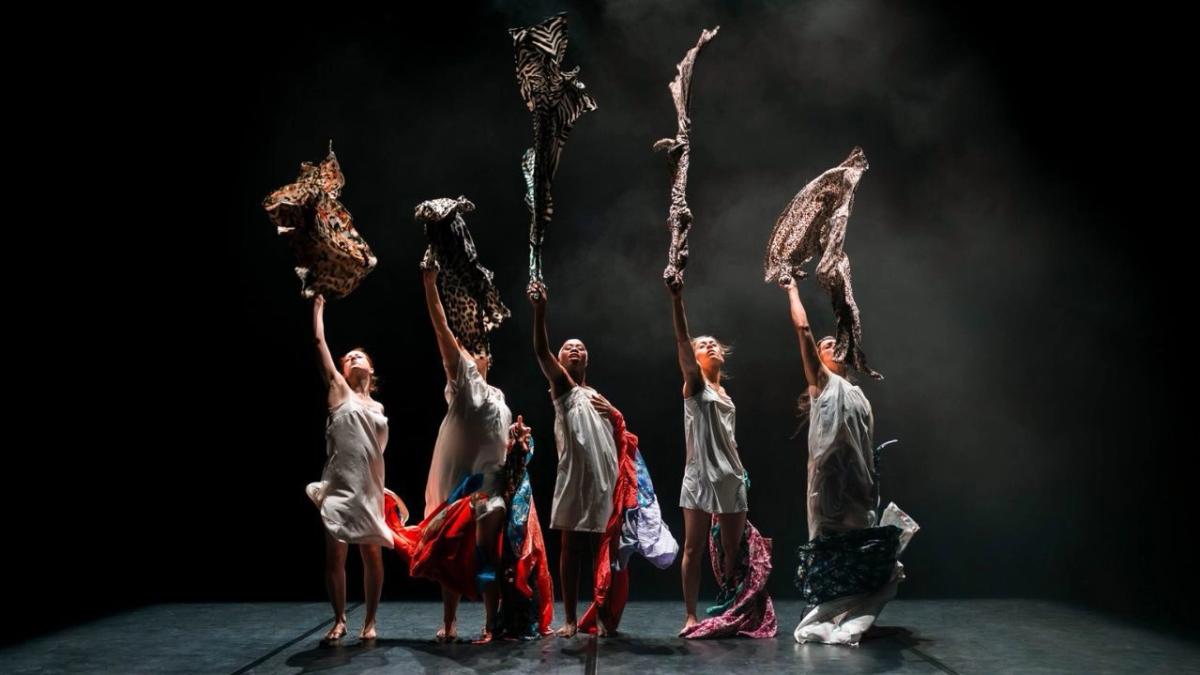 Dansserien: Maldonne