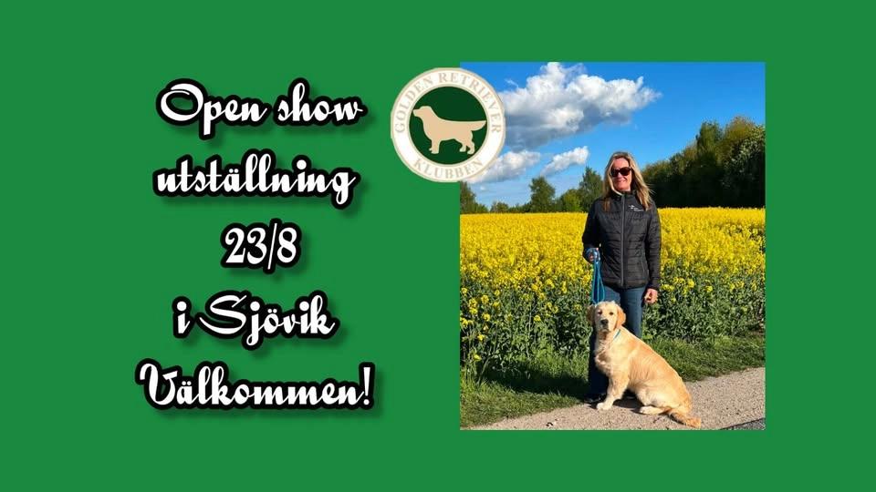 OPEN SHOW I SJÖVIK