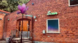 Dansföreställningar, musik, poesi, jam & öppen scen