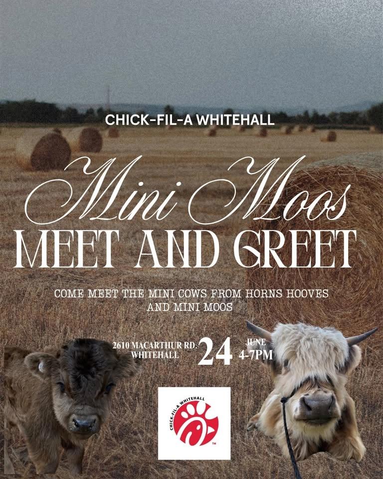 Mini Moos Night 2!!!