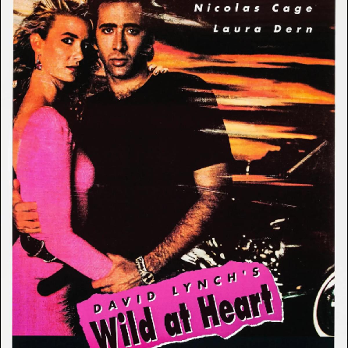 Petit Ermitage & David Lynch Foundation Host an Invitation Only Group Meditation & Private Rooftop Screening of Wild at Heart
