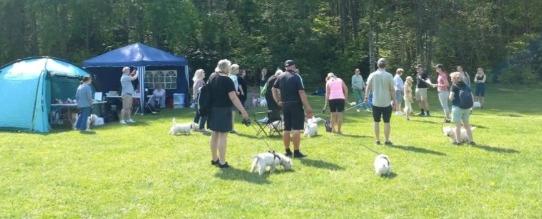 Westiedag med ÖstWestie- lördagen den 30/5