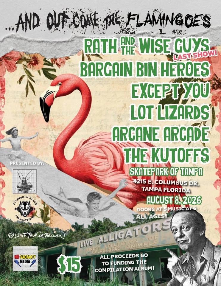 And Out Come The Flamingos Vinyl + Zine Fundraiser Show