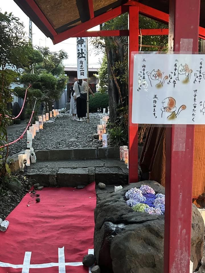 猫塚古墳ねこまつり