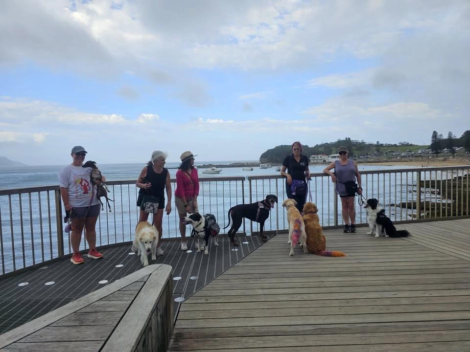 Terrigal Monthly GLOW Walk 5PM