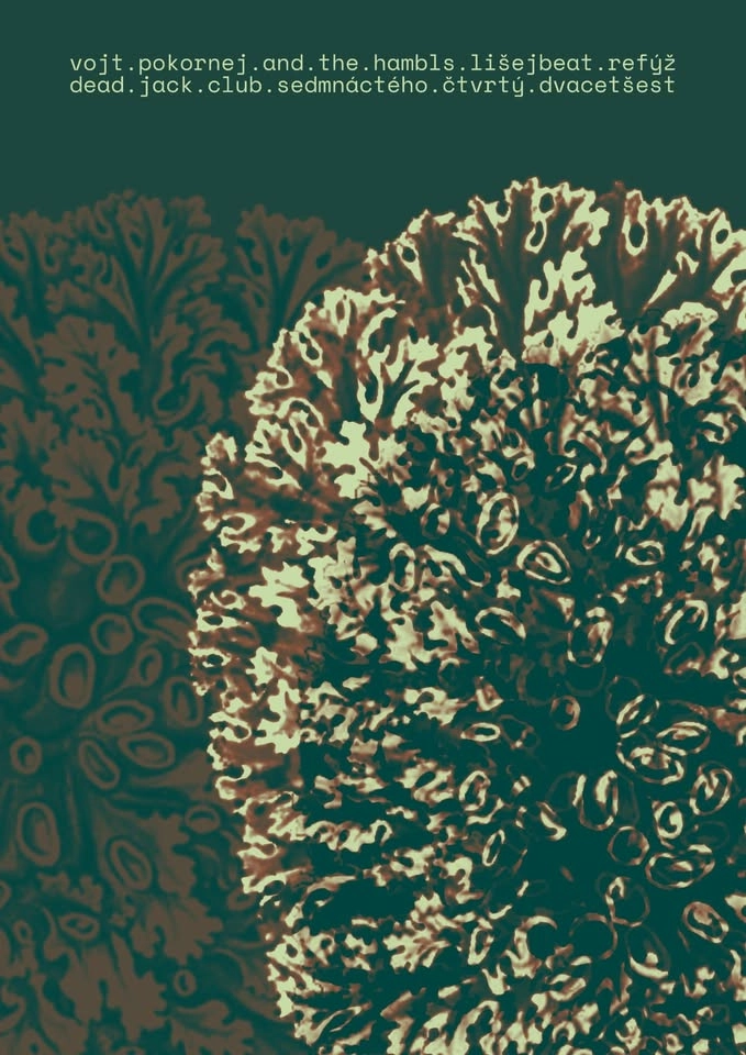 Refýž _Vojt Pokornej&TheHumbles_Lišejbeat