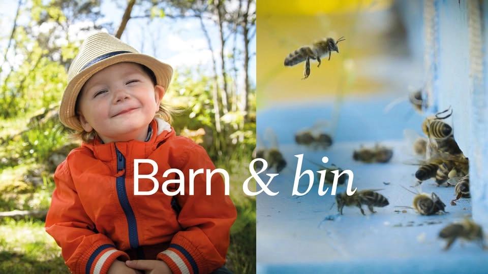Barn och bin i Uppenbarelsekyrkan