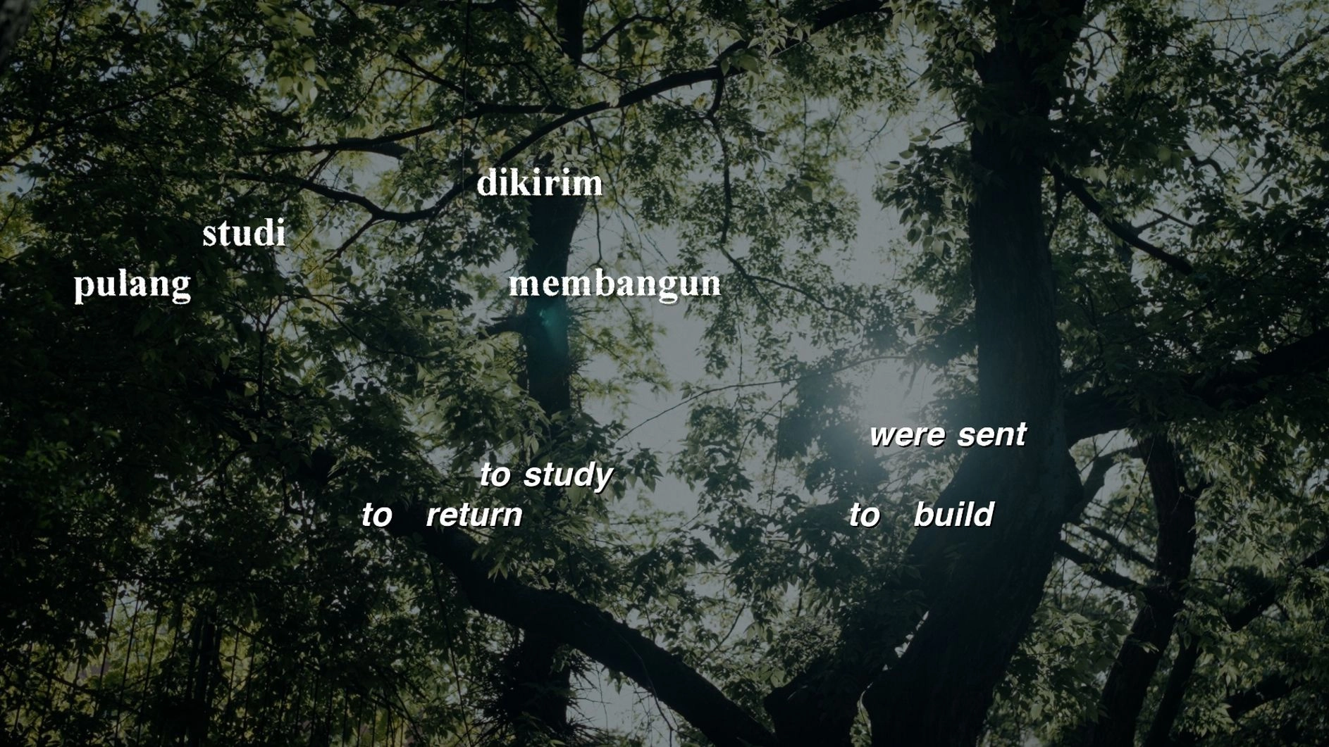 Spotlight on Indonesian Cinema + Masterclass with Elena Natanael