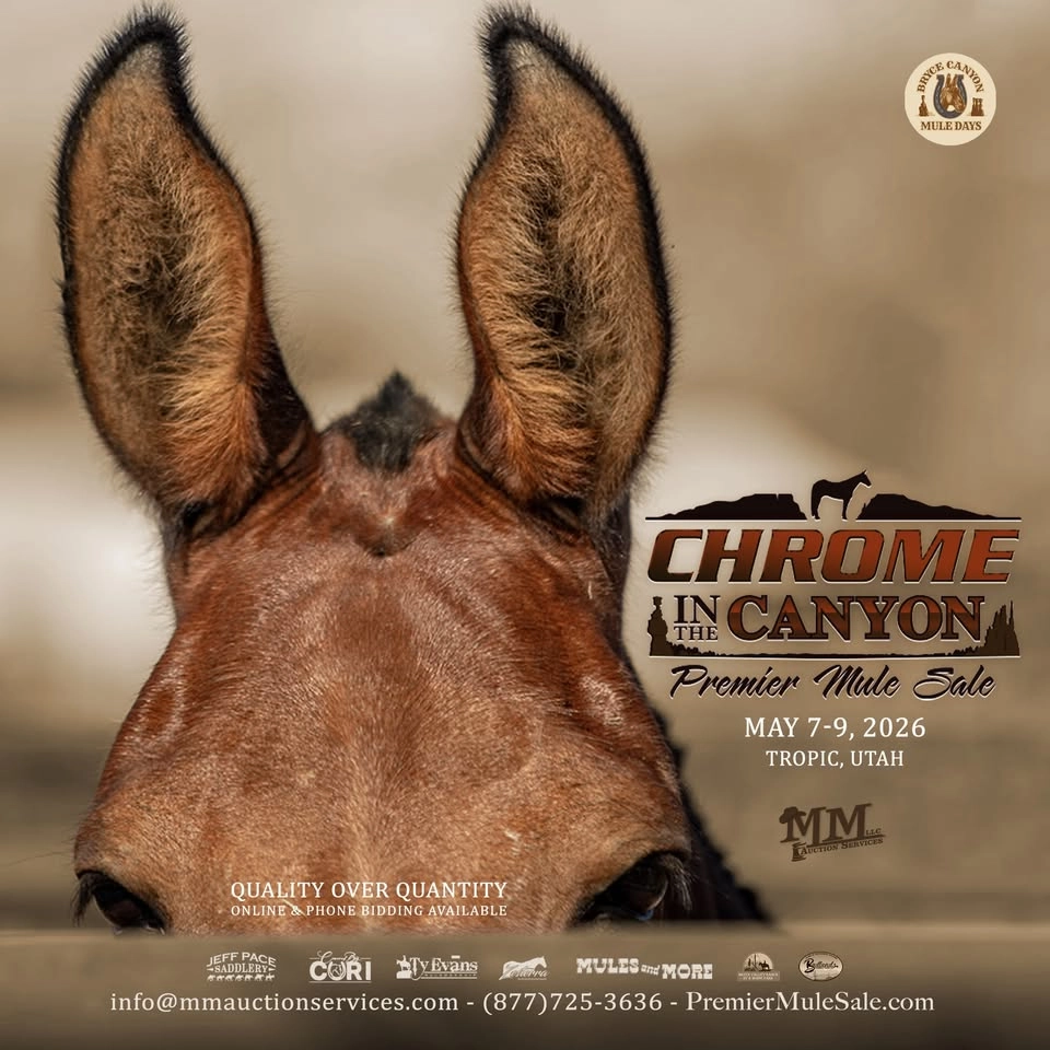 2026 Chrome in the Canyon Premier Mule Sale