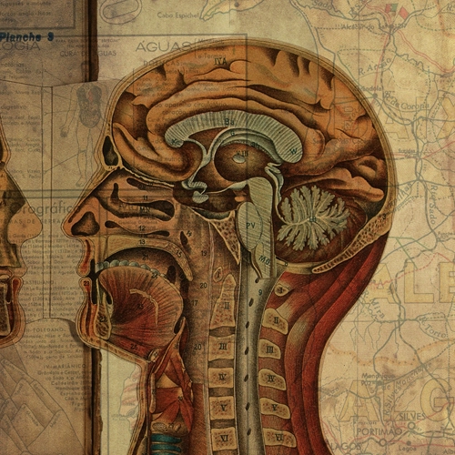 Cortar é Conectar / Cut and Connect