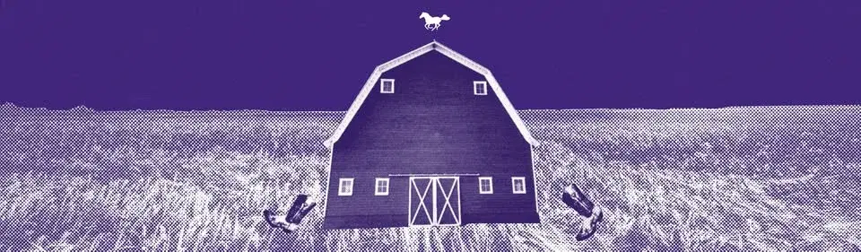 Vilda västern goes östern – Finn landet i stan