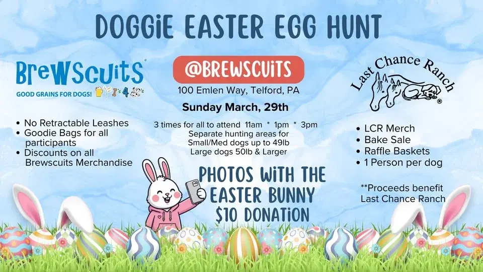 Doggie Easter Egg Hunt