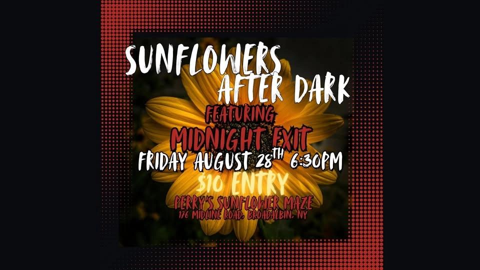 Sunflowers After Dark Featuring Midnight Exit