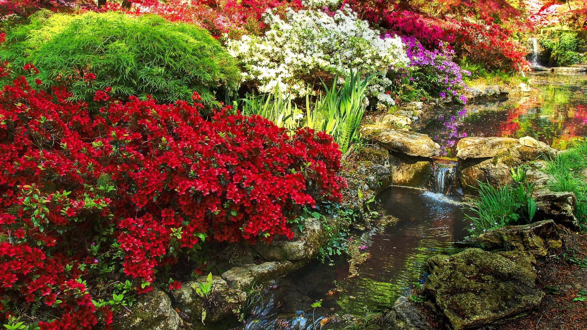 🌺 Сады Эксбери