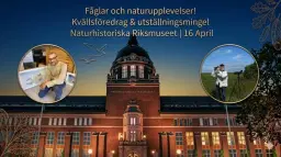 🐦 Fåglar och naturupplevelser! Kvällsföredrag och utställningsmingel på Naturhistoriska Riksmuseet