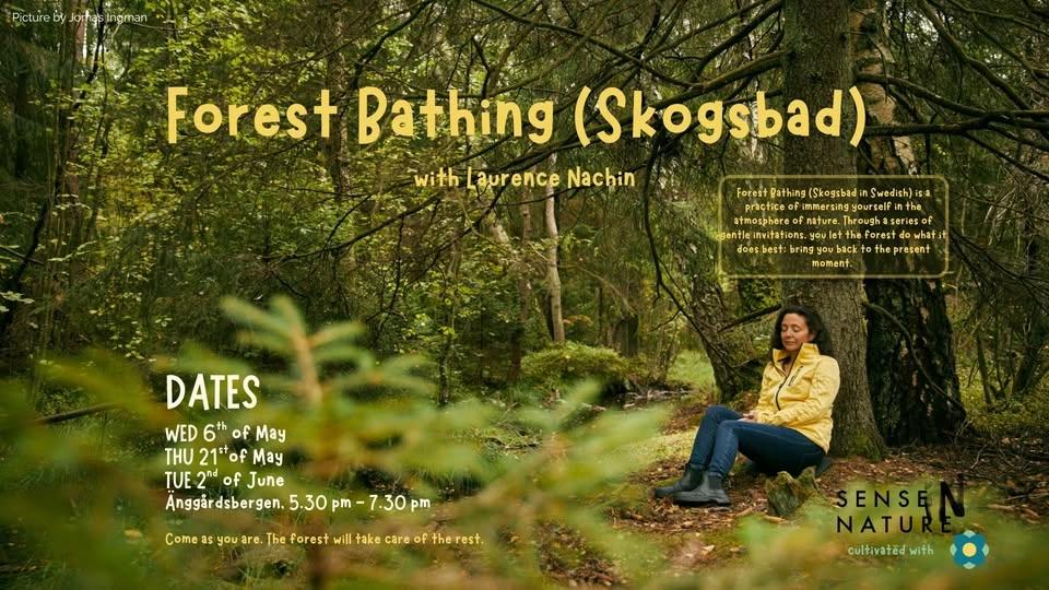 Forest Bathing (Skogsbad) with Laurence Nachin