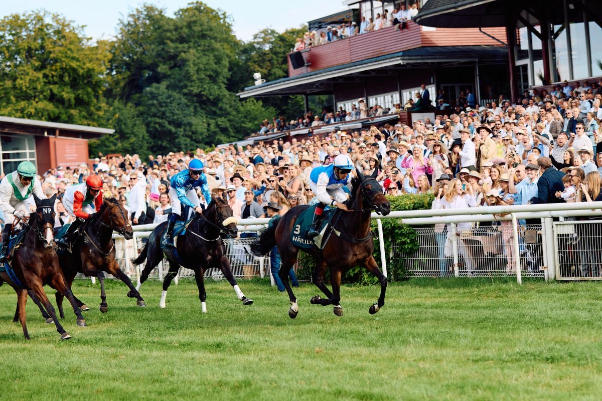 Make-A-Wish Summer Racing