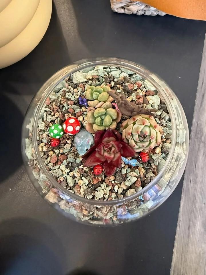 Plant n Sip - Terrarium Making June 20 @ 6pm $40