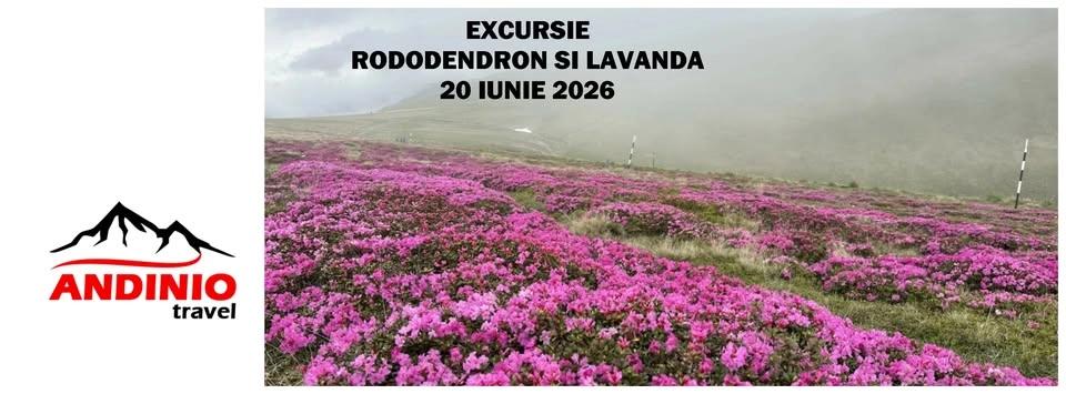 Excursie foto la rododendron și lavandă cu Andinio Travel