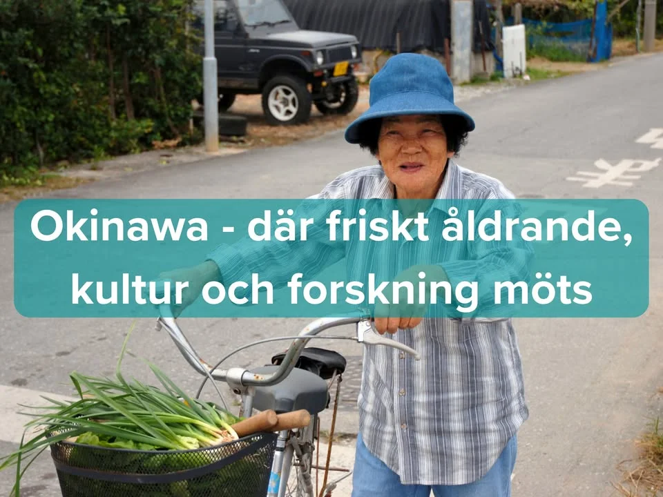 Infokväll: Okinawa - Den japanska blå zonen 🇯🇵