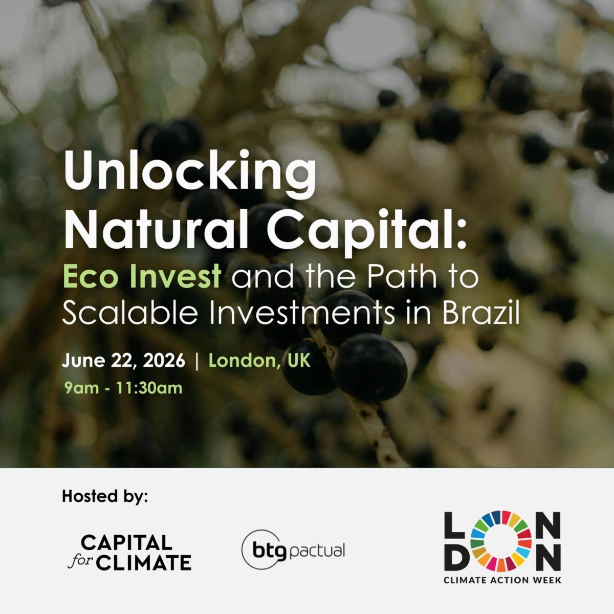 Unlocking Natural Capital: Eco Invest and the Path to Scalable Investments in Brazil