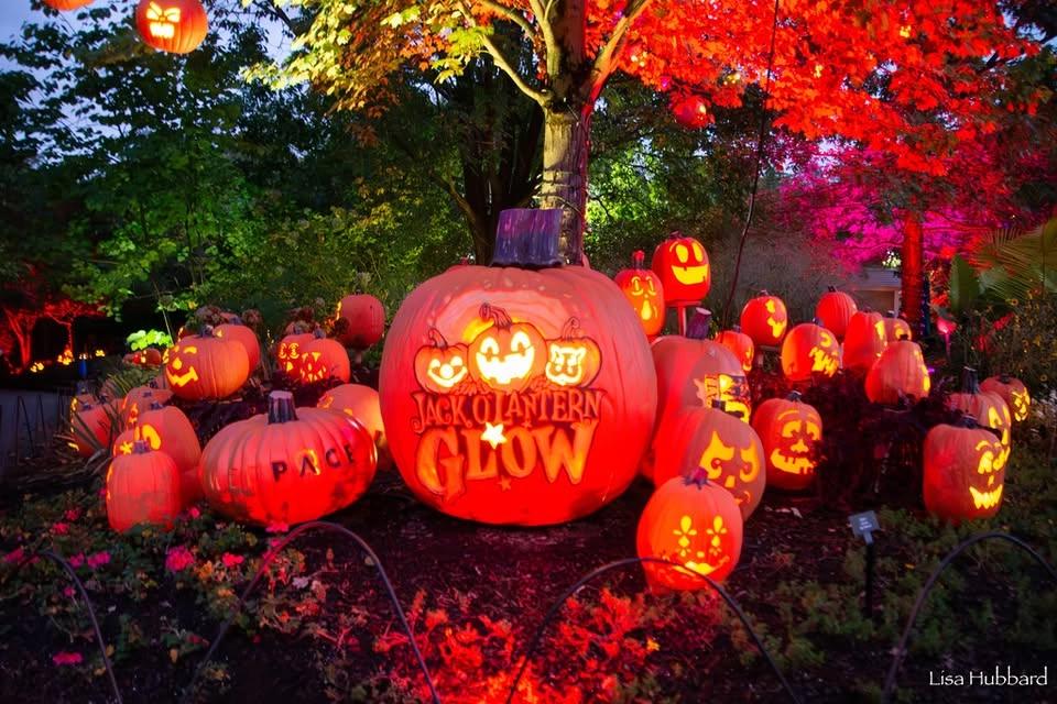 Jack O'Lantern Glow presented by MedPace