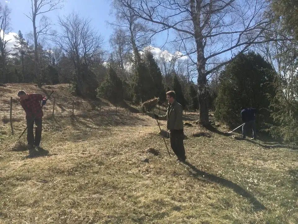 Fagning i Pettsons hage