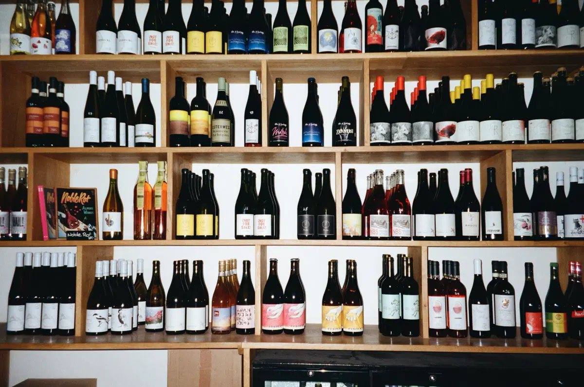 Young Wine Society x Rebel Wines - Overlooked & Untouched Wines