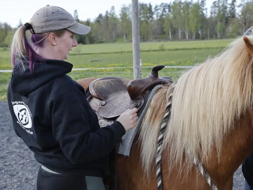 Sadelprovning med Ängarnas Ranch på JA Aktiv Häst