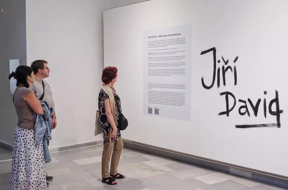 Prohlídka výstavy Jiřího Davida a Jindřicha Štreita