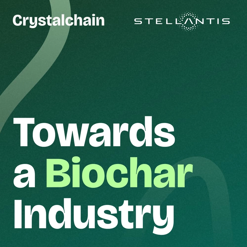 Towards a Biochar Industry