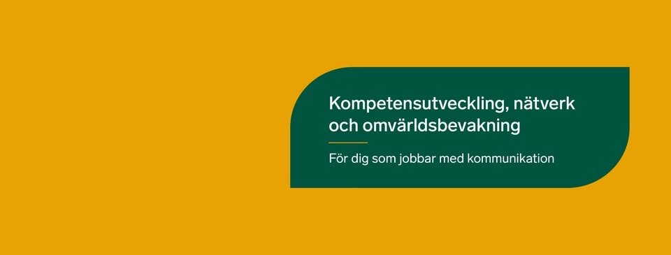 Föreläsning & branschmingel
