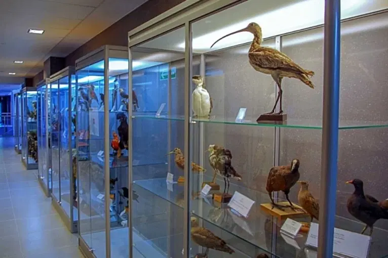 The Permanent Exhibition of The Musuem and Institute of Zoology