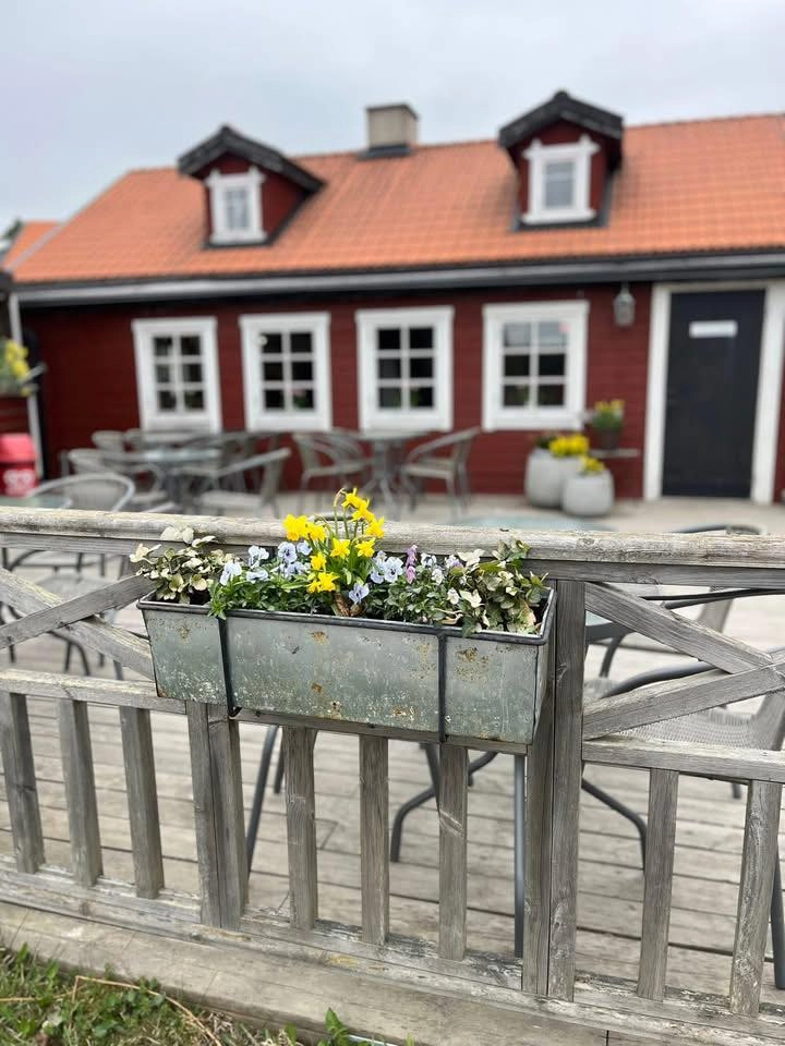 Fira mor på Spiltan!