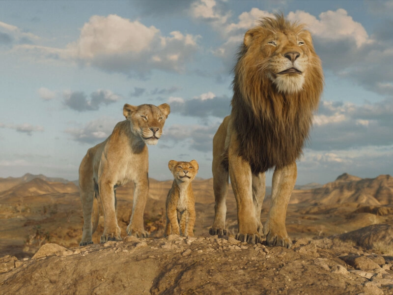 The Lion King