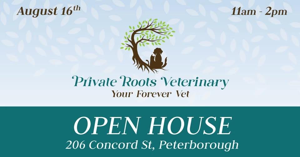 Open House