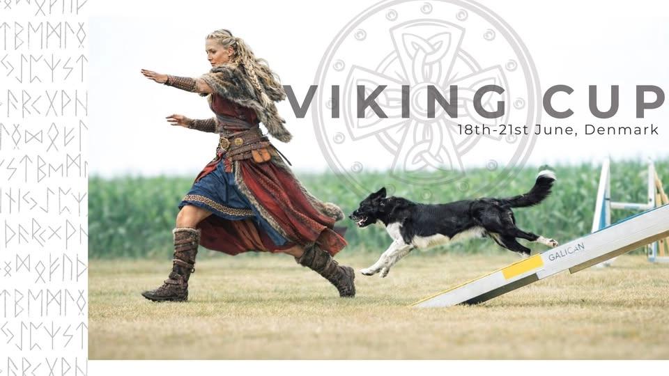 VIKING CUP