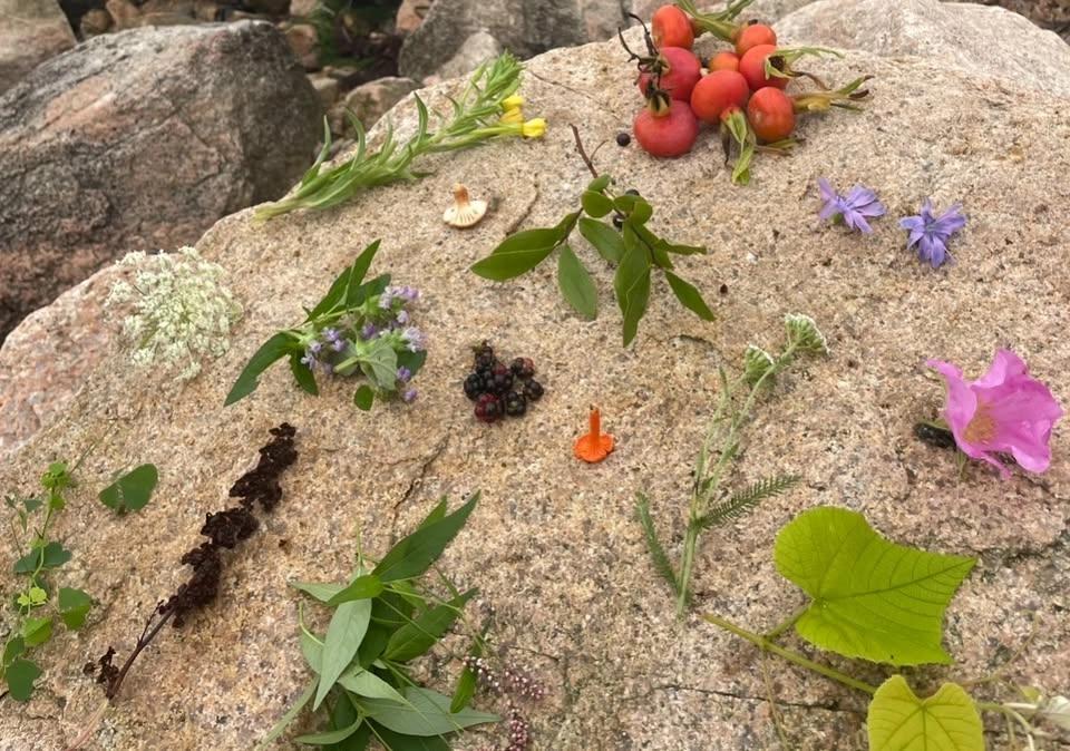 Sustainable foraging & Cultivating Abundance