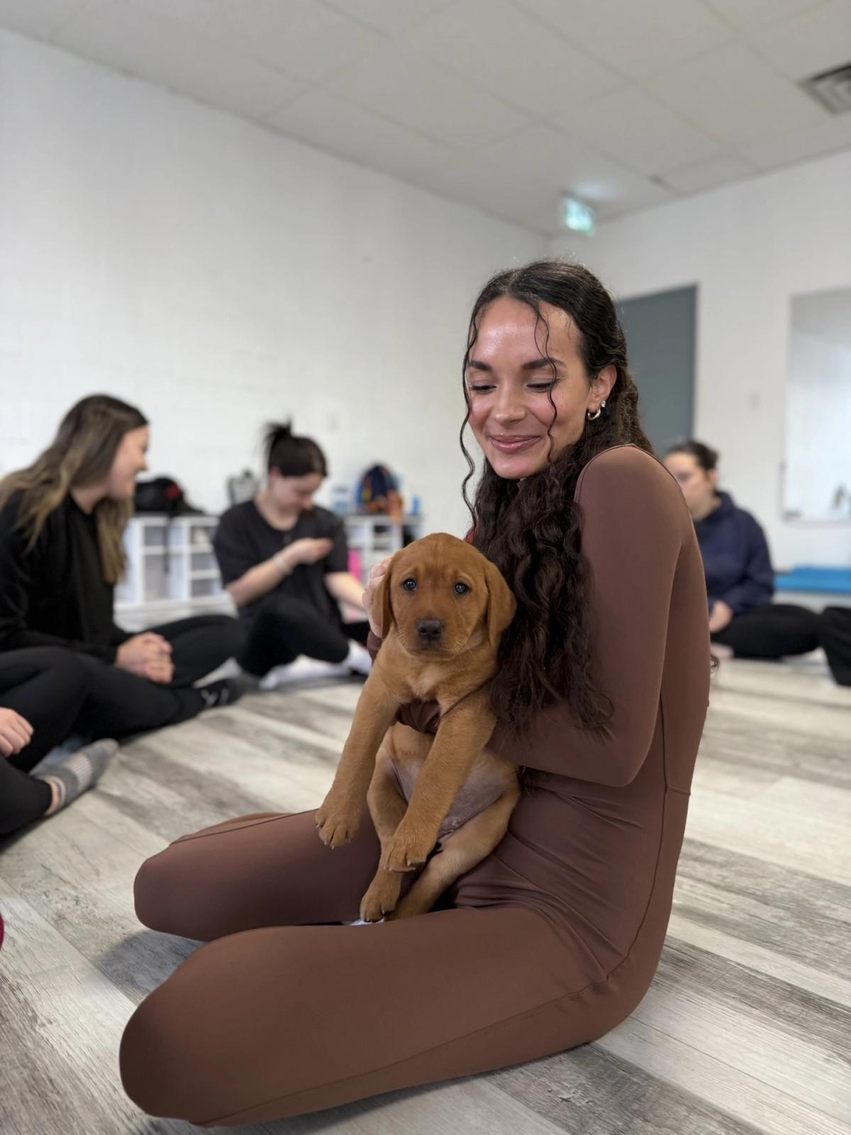 AfroPuppyYoga |📍Kitchener |🐶Bernese Mountain Dogs