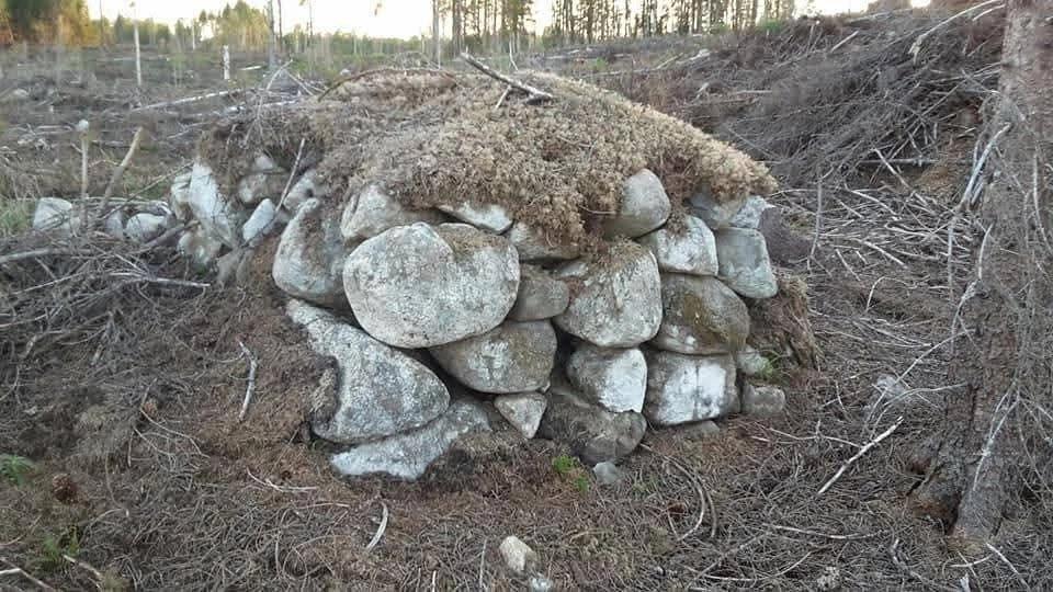 Gräsåsen - Whema (igen)