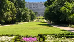 Baño de Bosque y Arpa (Shinrin Yoku)_CAMPO DEL MORO