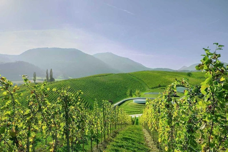 Degustace červených vín z celého Slovinska