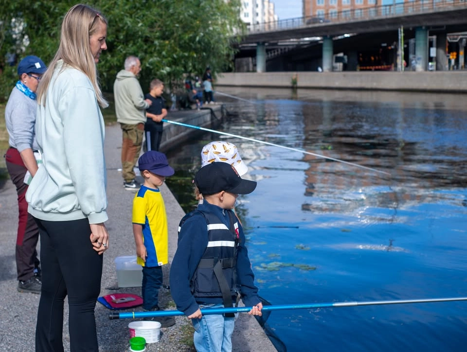 Första Metarda’n 2026