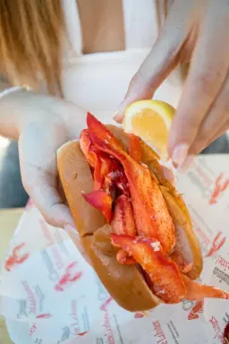 Cousins Maine Lobster in Oakley, Grocery Outlet