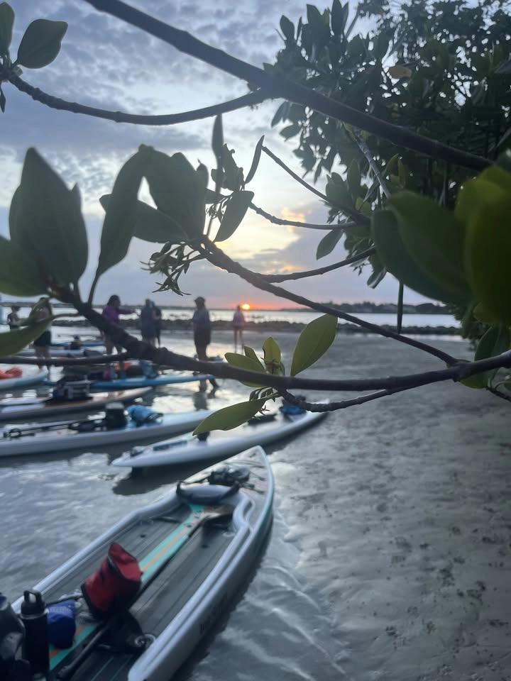 Sunset Social - season finale