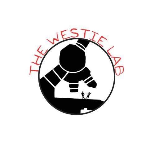 The Westie Lab Night