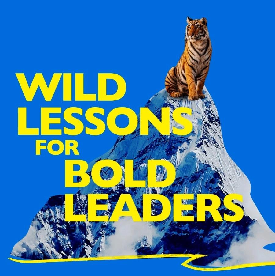 Wilder: Wild Lessons for Bold Leaders